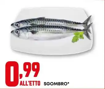 Kanguro Sgombro* offerta