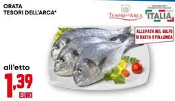 Kanguro Orata Tesori dell'Arca offerta