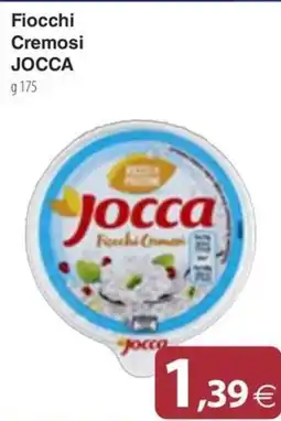 Docks Cash&Carry Fiocchi Cremosi JOCCA offerta