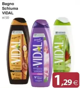 Docks Cash&Carry Bagno Schiuma Vidal offerta
