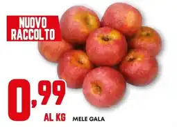Kanguro Mele Gala offerta