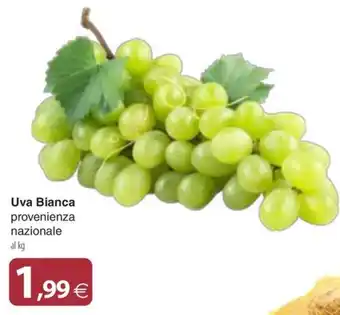 Docks Cash&Carry Uva Bianca offerta