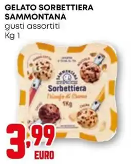 Kanguro Gelato Sorbettiera Sammontana offerta