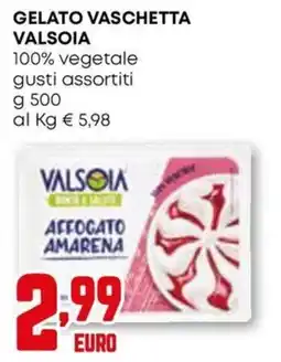 Kanguro Gelato vaschetta Valsoia offerta