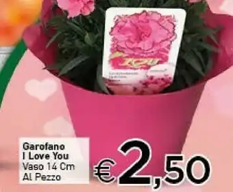 Garofano i love you