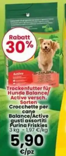 Interspar Crocchette per cane Balance/Active gusti assortiti Purina Friskies offerta