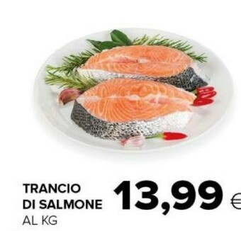 Tigre Trancio di salmone offerta