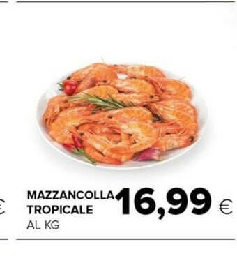 Tigre Mazzancolla tropicale offerta