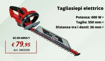 Einhell Tagliasiepi offerta