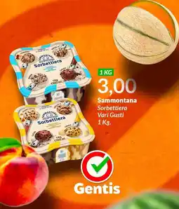 Gentis Sammontana Sorbettiera offerta
