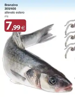 Docks Cash&Carry Branzino offerta