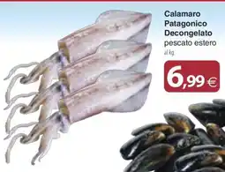 Docks Cash&Carry Calamaro Patagonico Decongelato offerta