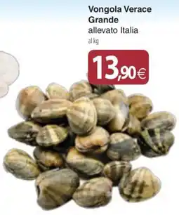 Docks Cash&Carry Vongola Verace Grande offerta