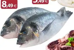 Docks Cash&Carry Orata offerta