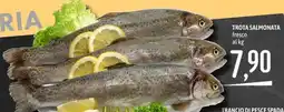 Emisfero Trota Salmonata offerta