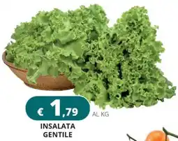 Altasfera Insalata Gentile offerta