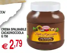 Centro Oceano Crema spalmabile cacao/nocciola offerta