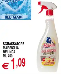 Centro Oceano Sgrassatore Marsiglia Belinda offerta