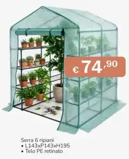 Al Pentolone Serra 6 ripiani offerta