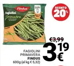 Supermercati Gulliver Fagiolini Primavera Findus offerta