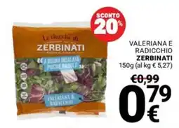 Supermercati Gulliver Valeriana e radicchio Zerbinati offerta
