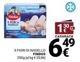 Supermercati Gulliver 5 Fiori di Nasello Findus offerta