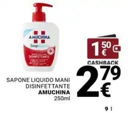 Supermercati Gulliver Sapone liquido mani disinfettante Amuchina offerta