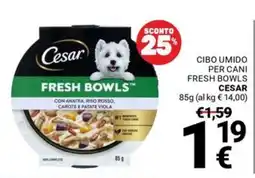 Supermercati Gulliver Cesar Fresh Bowls offerta