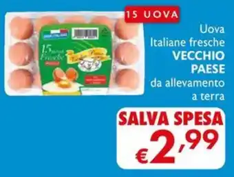 Uova Italiane fresche VECCHIO PAESE