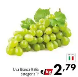 Eurospesa Uva Bianca Italia categoria 1ª offerta