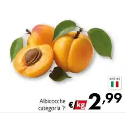 Eurospesa Albicocche categoria 1ª offerta