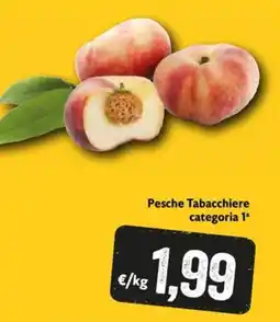 Eurospesa Pesche Tabacchiere categoria 1ª offerta