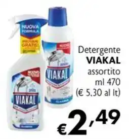 Eurospesa Detergente Viakal offerta