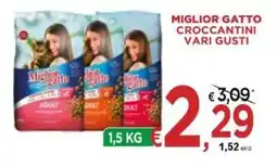 Jero Market Miglior gatto croccantini vari gusti offerta
