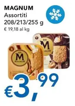 Migross Superstore Magnum Assortiti offerta