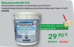 Bricoware Risanante antimuffa SPIMEX offerta