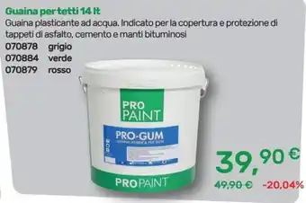 Guaina per tetti Pro Paint