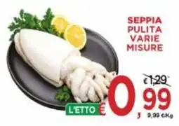 Jero Market Seppia pulita varie misure offerta