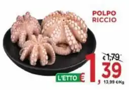Jero Market Polpo riccio offerta