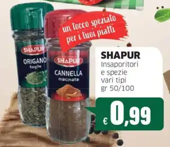 Shapur insaporitori e spezie