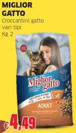 Mercati Alimentari Miglior gatto Croccantini gatto offerta