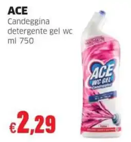 Mercati Alimentari Ace candeggina detergente gel wc offerta
