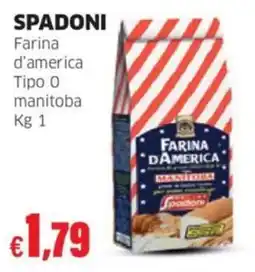 Mercati Alimentari Farina d'america Spadoni offerta