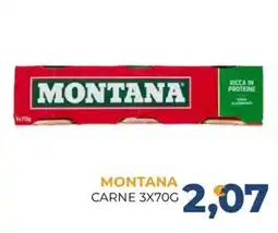 Moderna Montana carne offerta