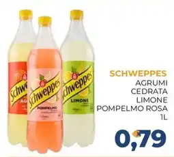 Moderna Schweppes Agrumi Cedrata offerta