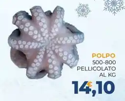 Moderna Polpo pellicolato offerta