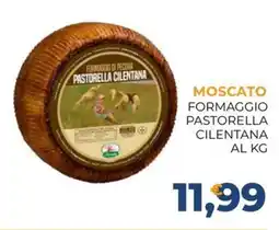 Moderna Formaggio di pecora Pastorella Cilentana offerta