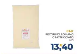 Moderna CAO Pecorino Romano Grattuggiato offerta