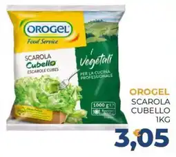Moderna Orogel scarola cubello offerta