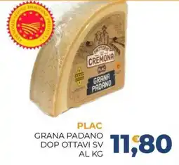 Moderna PLAC Grana Padano offerta